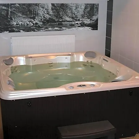 Hotel Divoky Andel 3*