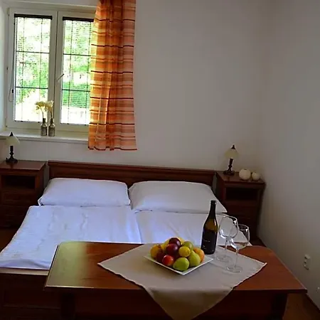 Hotel Divoky Andel